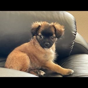 Meet your Posher, Debra